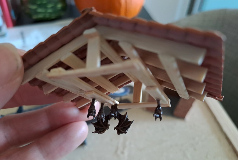 Some bats who live in the chapel