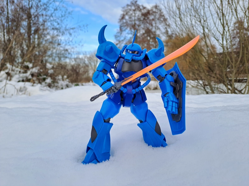 Gouf in snow