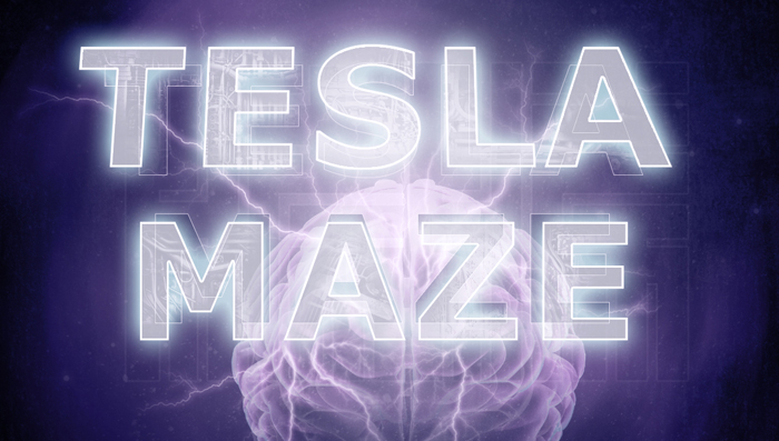 TeslaMaze logo